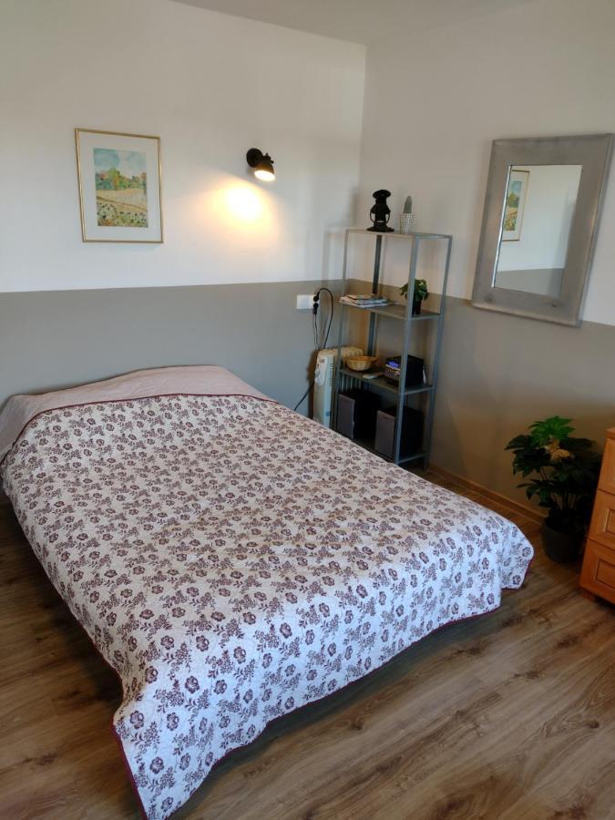 Apartment Sudety Hut *